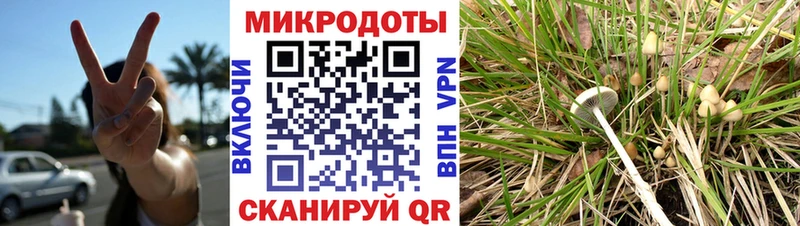 Псилоцибиновые грибы Psilocybine cubensis  Купить закладки  Соликамск 